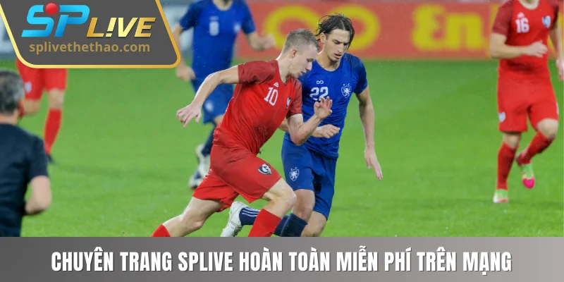 Chuyên trang SPLIVE hoàn toàn miễn phí trên mạng