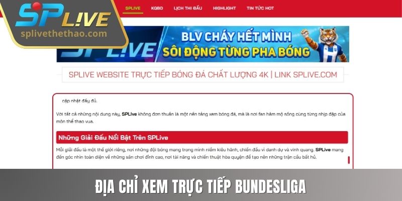 Địa chỉ xem trực tiếp Bundesliga