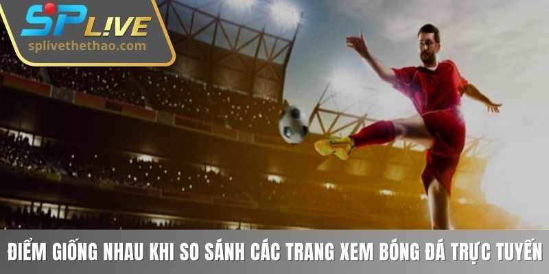 Điểm giống nhau khi so sánh các trang xem bóng đá trực tuyến