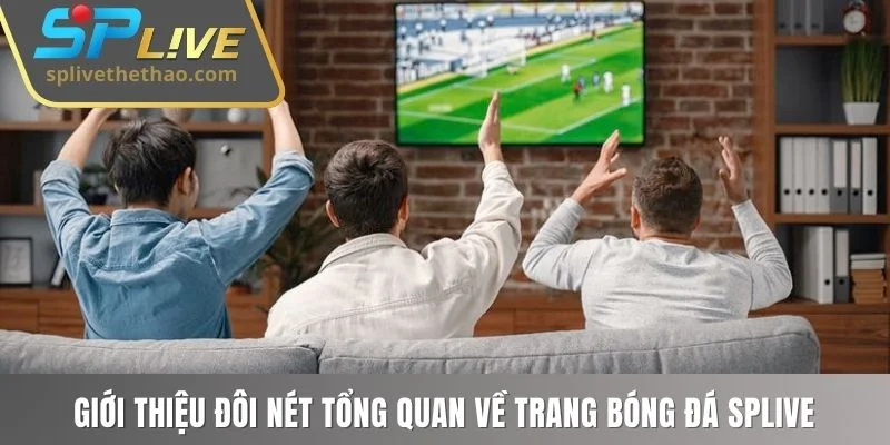 Giới thiệu đôi nét tổng quan về trang bóng đá SPLIVE