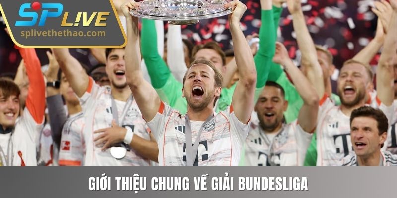 Giới thiệu khái quát về giải Bundesliga
