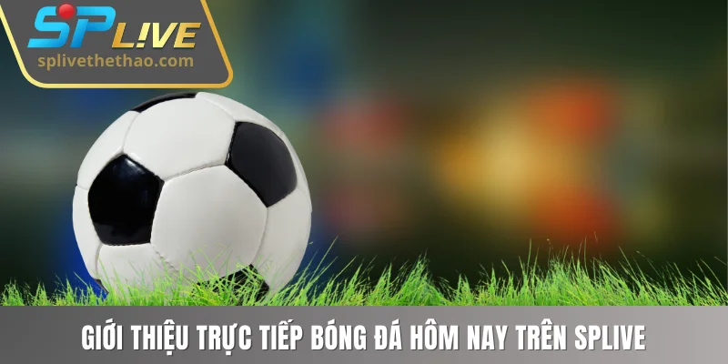Giới thiệu trực tiếp bóng đá hôm nay trên SPLIVE