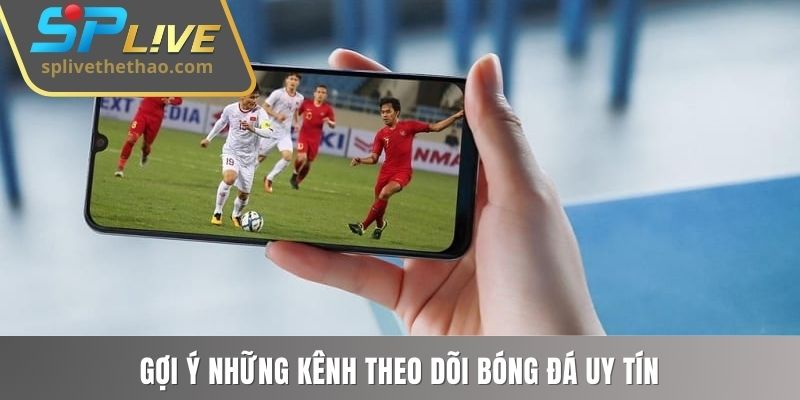 Gợi ý những kênh theo dõi bóng đá uy tín
