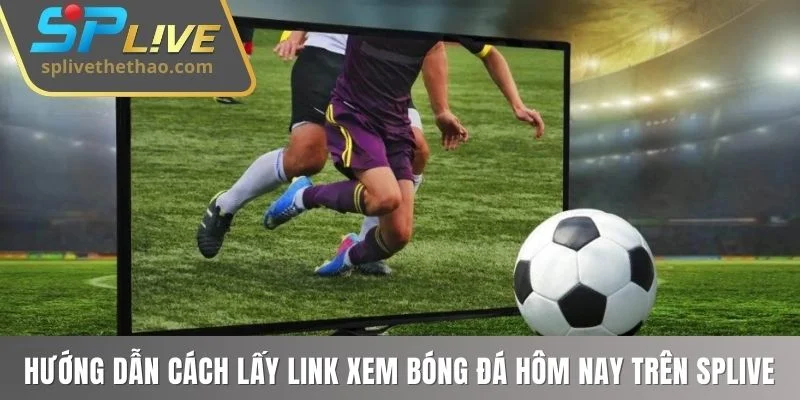 Hướng dẫn cách lấy link xem bóng đá hôm nay trên website SPLIVE