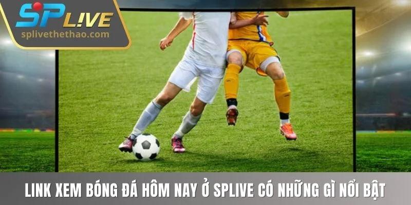 Link xem bóng đá hôm nay ở SPLIVE có những gì nổi bật
