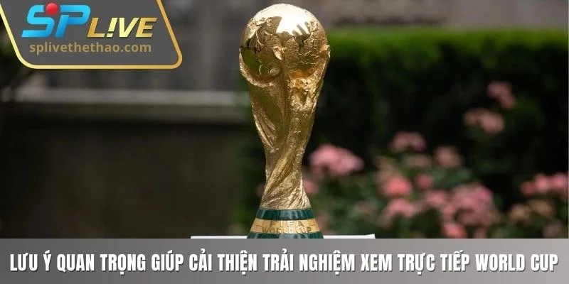 Một số lưu ý quan trọng giúp cải thiện trải nghiệm xem trực tiếp World Cup