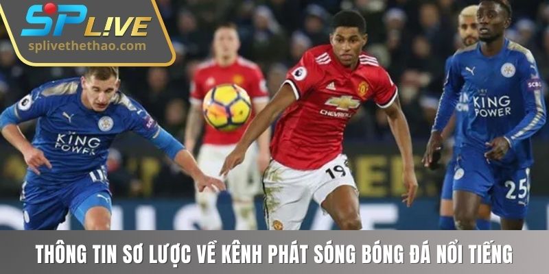 Thông tin sơ lược về kênh phát sóng bóng đá nổi tiếng 