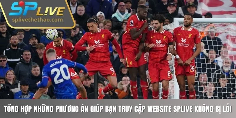 Tổng hợp những phương án giúp bạn truy cập website SPLIVE không bị lỗi